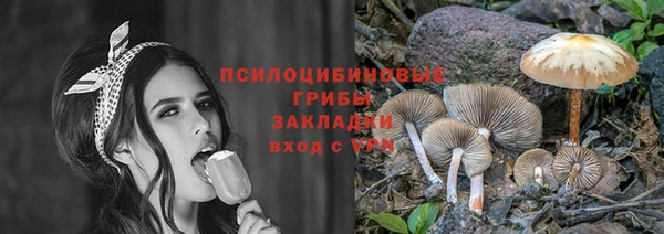 мет Аркадак