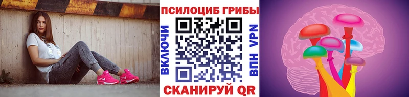 Псилоцибиновые грибы Psilocybe  как найти закладки  Звенигово 