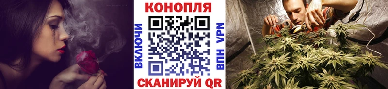 Канабис VHQ  как найти   Звенигово 